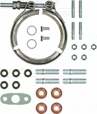 Комплект прокладок турбины VW LT 2.8TDI 02-06 (116kw), AUH/BCQ