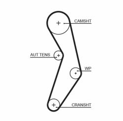 Ремiнь ГРМ 124#22 Ремiнь ГРМ 124#22