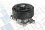 Помпа води Renault Laguna III/Megane III/Scenic III/Nissan X-Trail/Qashqai 2.0 16V 07-, фото 10 - інтерент-магазин Auto-Mechanic