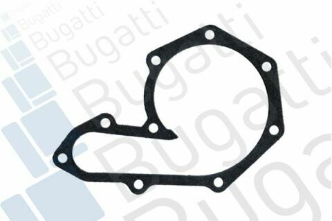 Помпа води Renault Kangoo/Master/Laguna/Megane/Opel Movano 1.8/1.9dCi/dTi/D/2.0 95-03 (R/B)(8лоп)