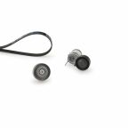 Роликовий модуль натягувача ременя (ролик, ремінь) Роликовий модуль натягувача ременя (ролик, ремінь)