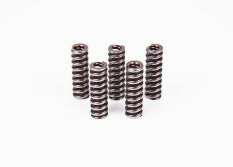 Пружина сжатия ТНВД Daf/Iveco/Man/MB/Renault/Scania/Volvo