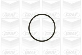 Насос воды VW Golf/Jetta/Passat/T4 2.8/2.8-2.9 VR6/3.2 92-06/Ford Galaxy 2.8 VR6 96-01 (R/B) (8 лоп) Насос воды VW Golf/Jetta/Passat/T4 2.8/2.8-2.9 VR6/3.2 92-06/Ford Galaxy 2.8 VR6 96-01 (R/B) (8 лоп)