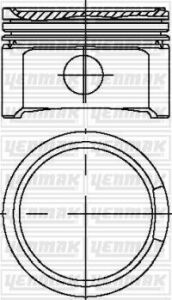 Поршень с кольцами и пальцем (размер отв. 81.01/std) vw 1.8t 20v (4цл.) (amb, app, arx, ary, aum, aum, auq, avj, awm, awp, …)