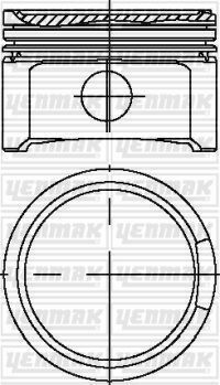 Поршень с кольцами і пальцем (размер отв. 81.01 / std) vw 1.8t 20v (4цл.) (amb, app, arx, ary, aum, aum, auq, avj, awm, awp, …)