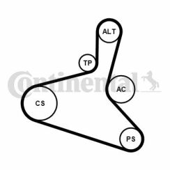 Комплект ременя генератора VW T5 1.9 TDI 03-09/Skoda Octavia 1.9TDI 00-10