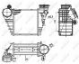 Радиатор интеркулера VW Golf/Bora/Skoda Octavia/Seat Leon 1.9TDI 00-10, фото 10 - интернет-магазин Auto-Mechanic