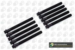 Болти головки блоку 1.9D Kangoo/Megane 97-03/Clio 98-05 (10шт)