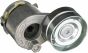 Натяжник ременя генератора Renault Scenic/Megane II/III 1.9dCi/2.0 16V 03-, фото 9 - інтерент-магазин Auto-Mechanic