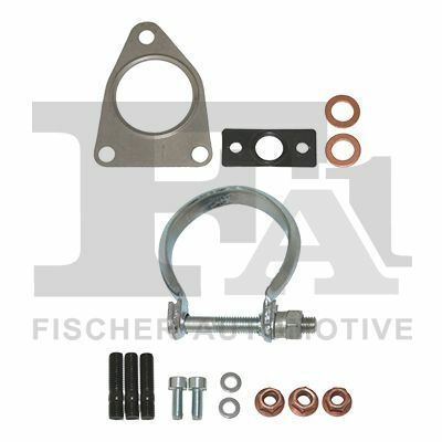 Комплект прокладок турбины Ford Focus II/Mondeo IV/Volvo C30/S40 II/V50/V 70 III 2.0 TDCi 03-15