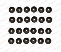 Комплект сальників клапанів Комплект сальників клапанів