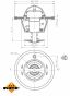 Термостат Renault Koleos 2.5/Nissan X-trail 2.0/2.5 01-(82°), фото 12 - интернет-магазин Auto-Mechanic