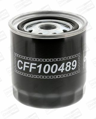 CFF100489 (Чемпион)