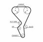 Комплект ГРМ Citroen Berlingo/Xsara/C3/C4/Peugeot 206/301/307/Partner 1.6i 16V 00- (26x134z), фото 11 - інтерент-магазин Auto-Mechanic