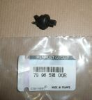 Фіксатор (пласт)